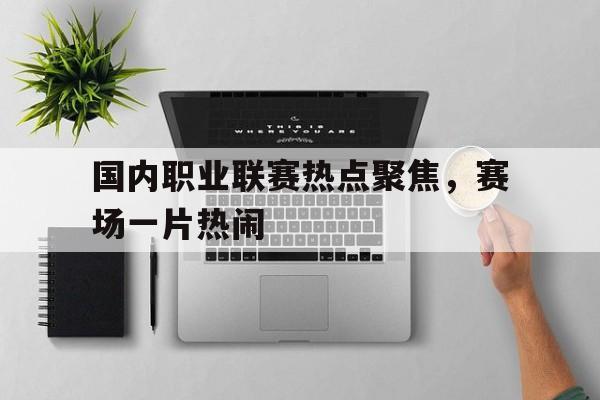 国内职业联赛热点聚焦，赛场一片热闹